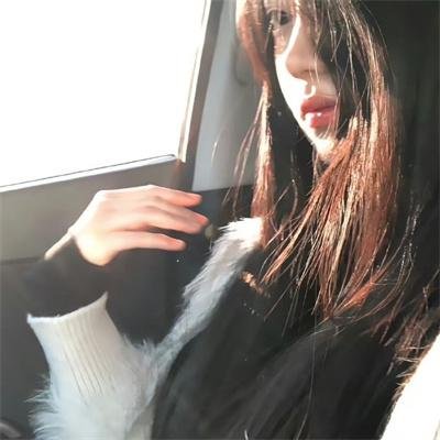 流浪狗阿甘 在线观看